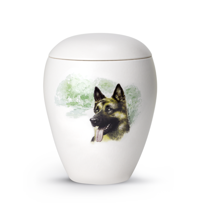 Tierurne Hunderassen