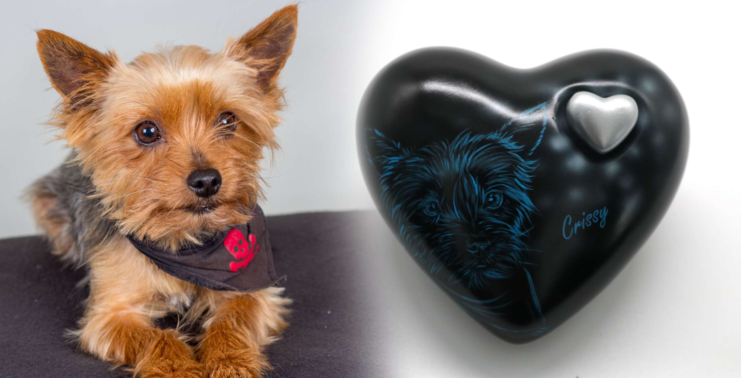 Hundeurne Lichterhund mit Ihrem Hund in Herzform – Bild 2