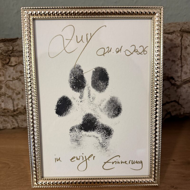 Pfoten Tintenabdruck im Bilderrahmen