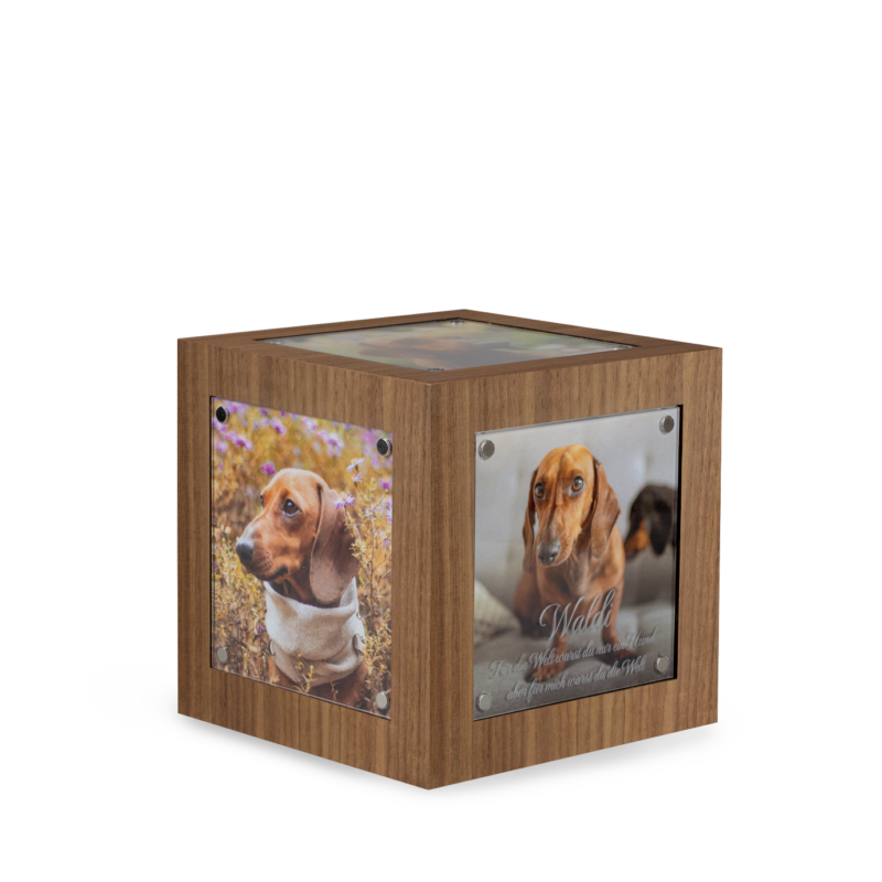 Tierurne Memori Cube