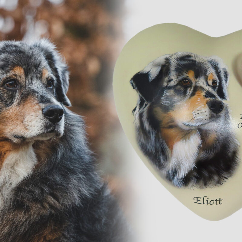 Portraiturne mit Ihrem Tier in Herzform