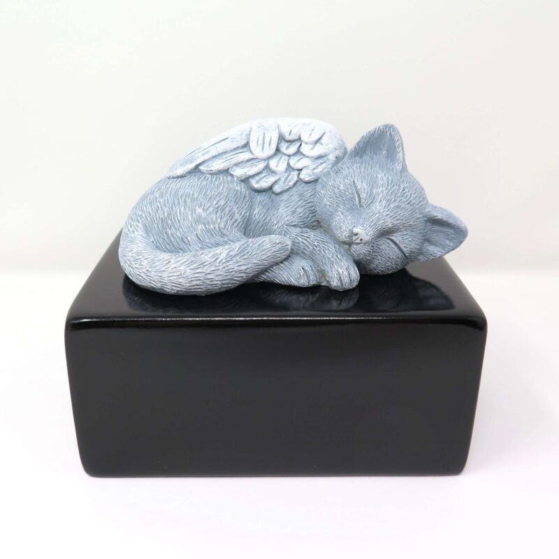 Katzenurne schlafende Katze mit Flügel